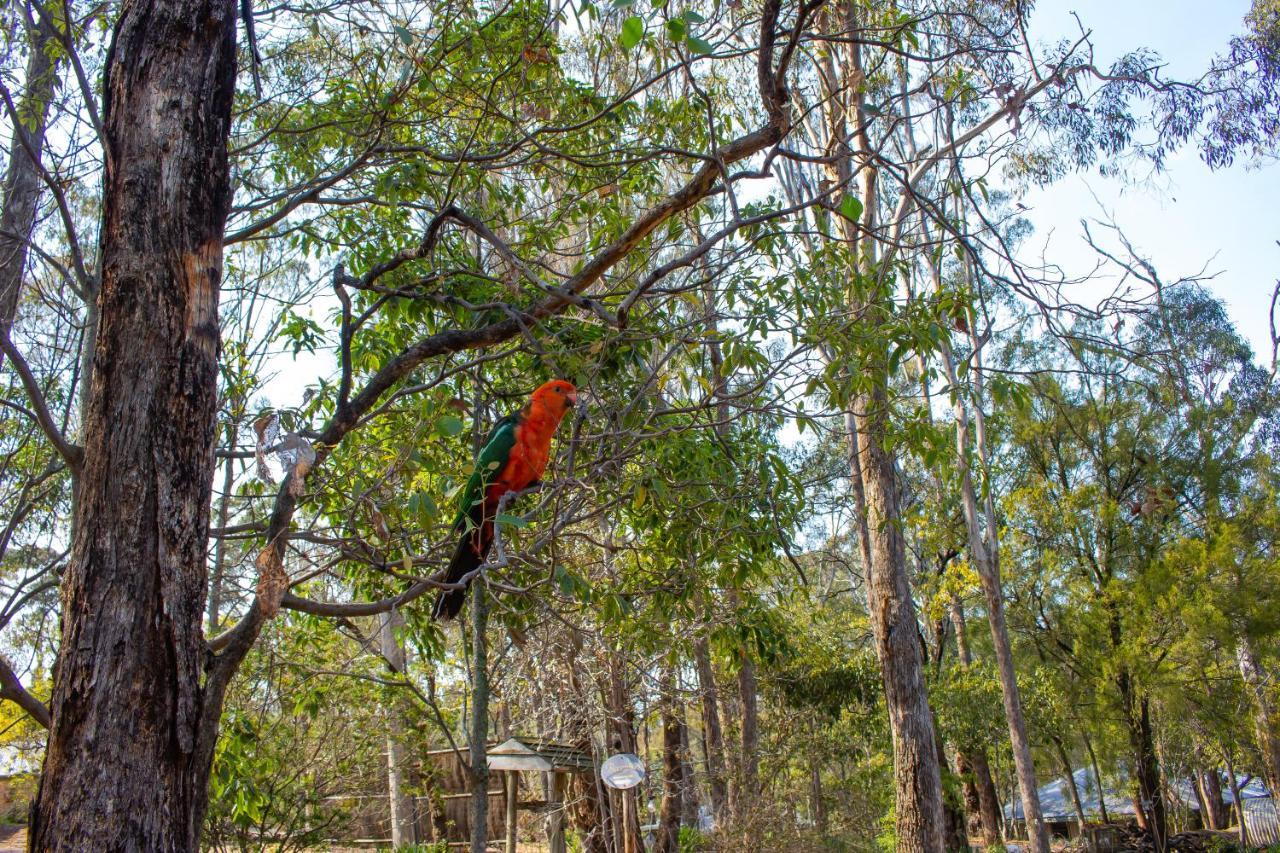 Kalimna Woods Cottages Lakes Entrance Zewnętrze zdjęcie