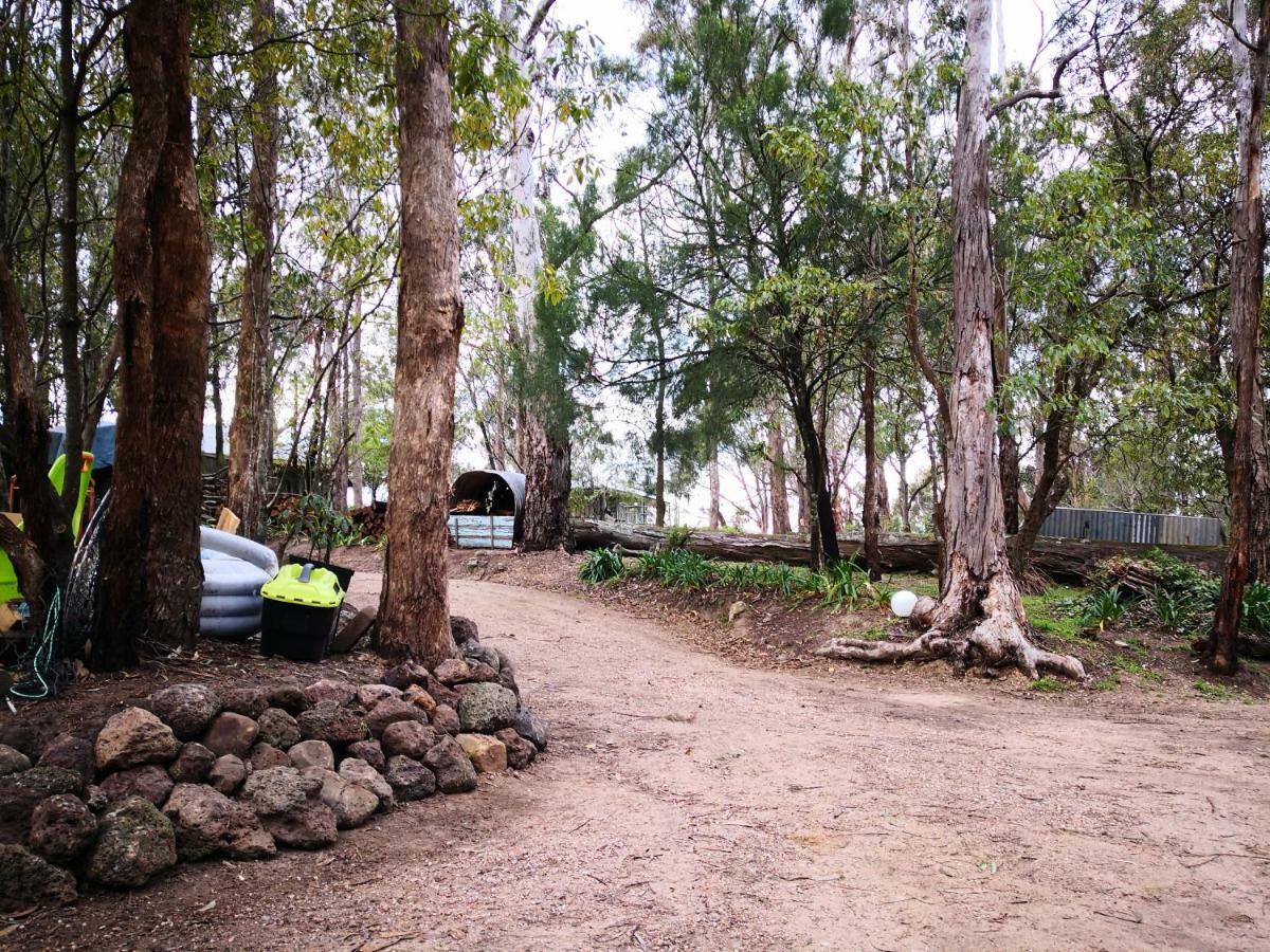 Kalimna Woods Cottages Lakes Entrance Zewnętrze zdjęcie